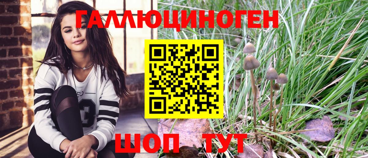 Псилоцибиновые грибы прущие грибы Большой Камень