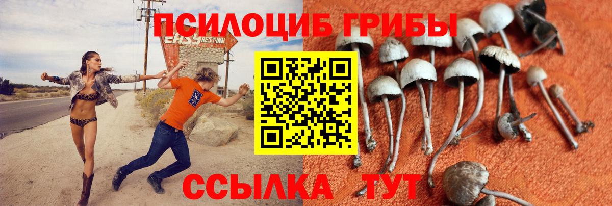 Галлюциногенные грибы мицелий  Вход с VPN  Большой Камень  Псилоцибиновые грибы Magic Shrooms 